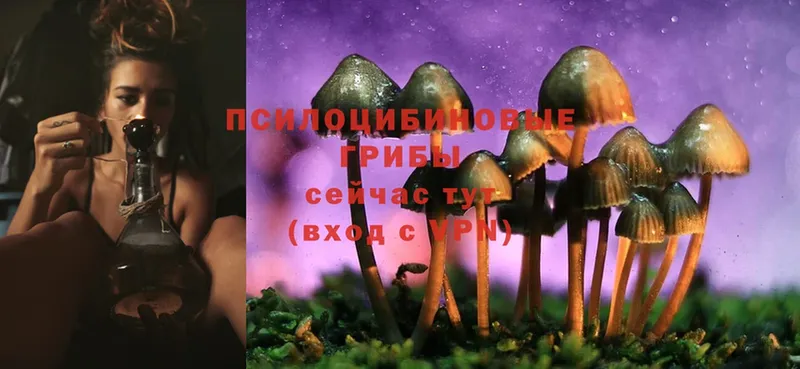 Галлюциногенные грибы Magic Shrooms  Касимов 